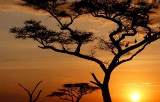 Excellent Africa Tours-Kenya,landcsapes