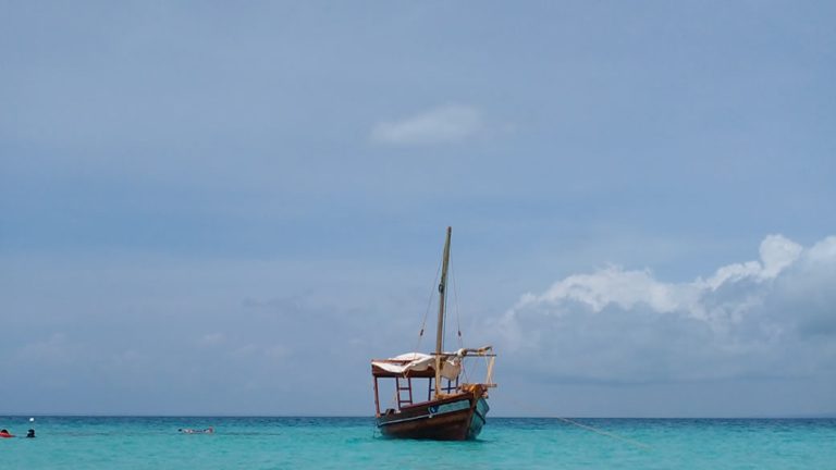 1 day wasini dhow