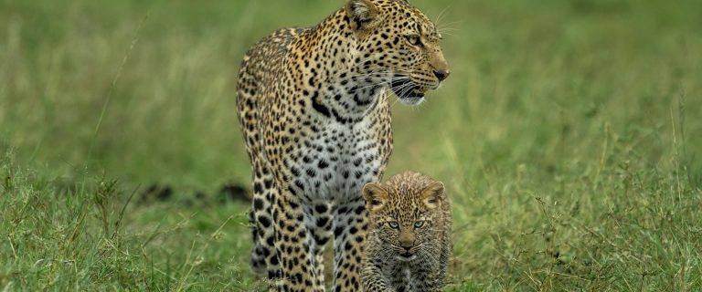 3 days maasai mara