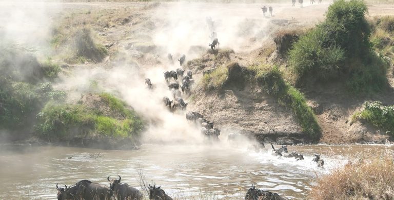 3 days maasaimara