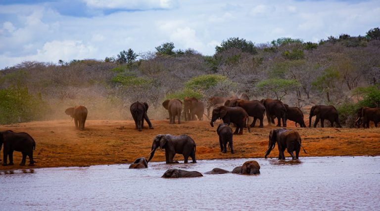 3 days tsavo east national park