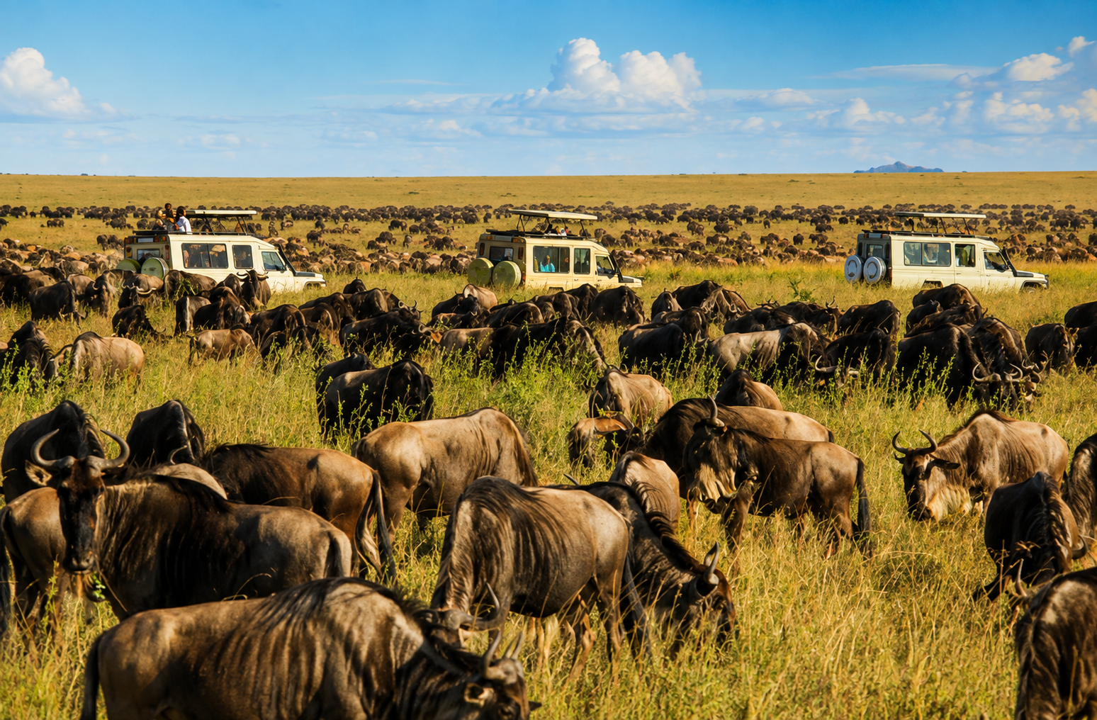 MASAI MARA KENYA EXCELLENT AFRICA TOURS