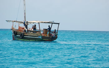 excursions6