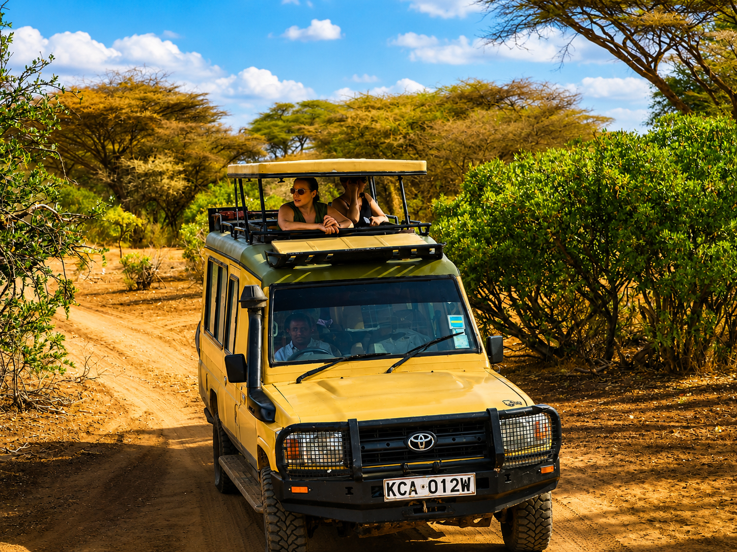 best images excellent africa