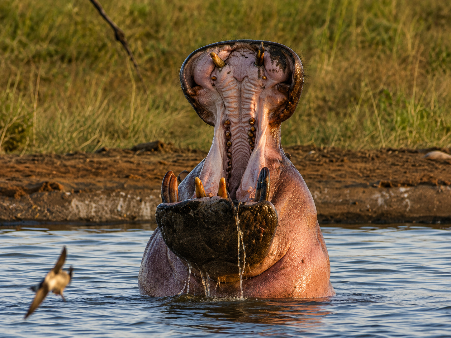ecellent africa tours 6
